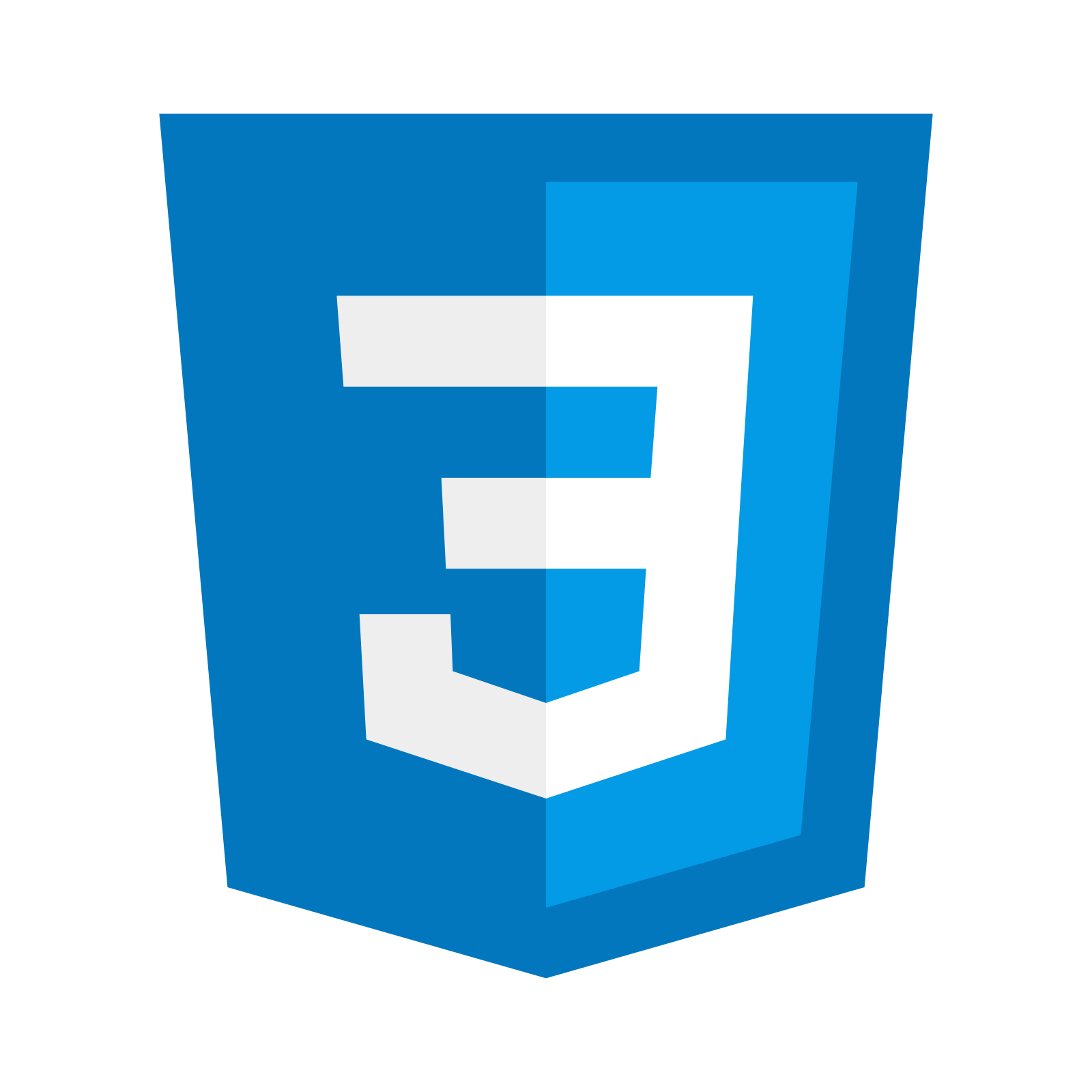 CSS3